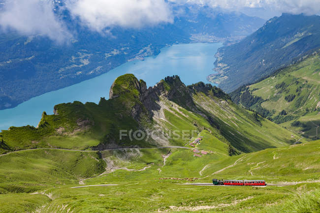 Train travelling through mountains, Brienzer Rothorn, Bernese Oberland, Switzerland — Stock Photo