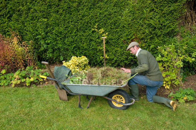 Reifer Mann kniet bei Gartenarbeit mit Schubkarre — Stockfoto