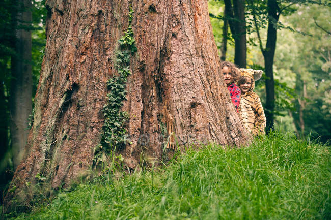 Bambini che giocano insieme nella foresta — Foto stock