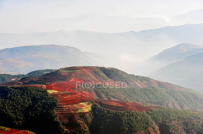 Campos em terraços vermelhos, Yunnan, China — Fotografia de Stock