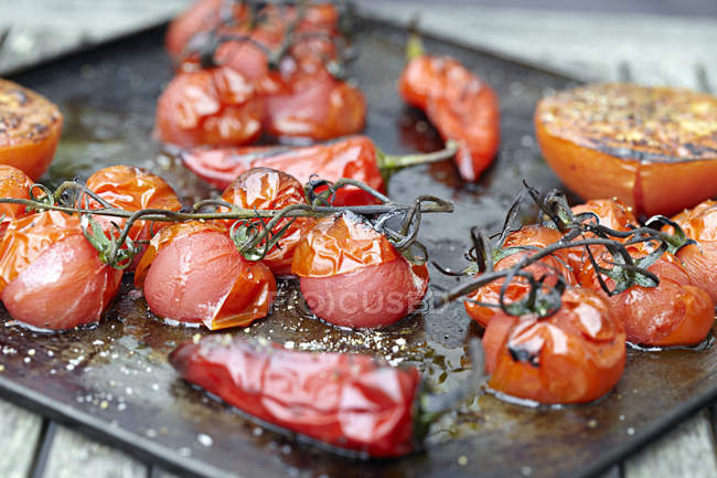 Tray of roasted tomatoes and chillis — Stock Photo