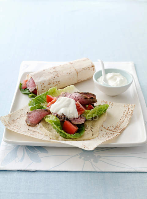 Plate of meat, salad and flatbread wrap — Stock Photo