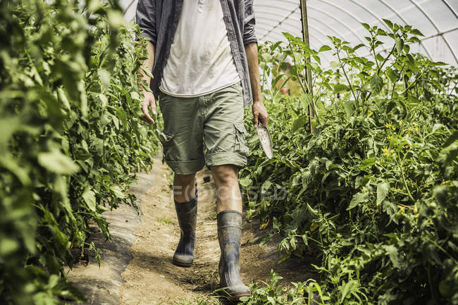 Cropped image of man carrying trowel and walking in vegetable garden — Stock Photo