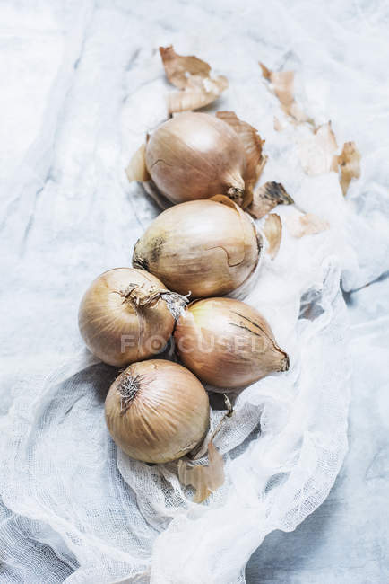 Whole yellow onions on cheesecloth — Stock Photo