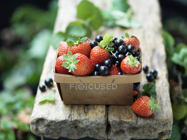 Strawberries and blackcurrants in vintage wooden basket — Stock Photo