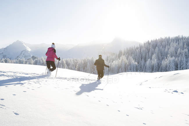 Visão traseira do casal sênior usando postes de caminhada na paisagem coberta de neve, Sattelbergalm, Tirol, Áustria — Fotografia de Stock