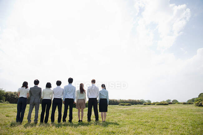 Geschäftsleute in einer Reihe im Feld, Rückansicht — Stockfoto