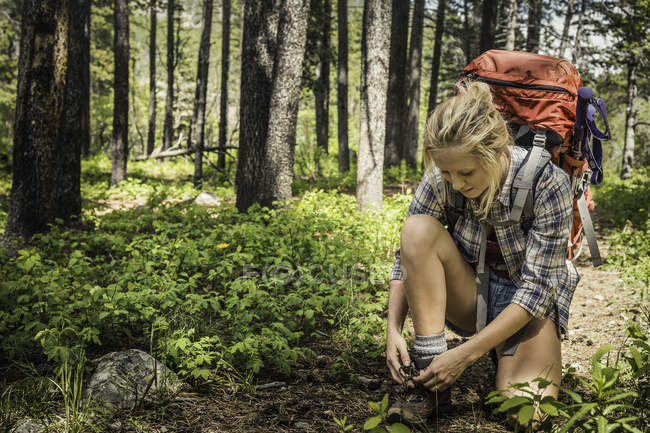 Женщина-путешественница, завязывающая шнурки для обуви в лесу, Ред Лодж, Монтана, США — стоковое фото