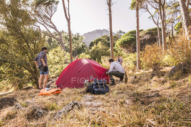 Four men putting up dome tent in forest, Deer Park, Cape Town, South Africa — Stock Photo