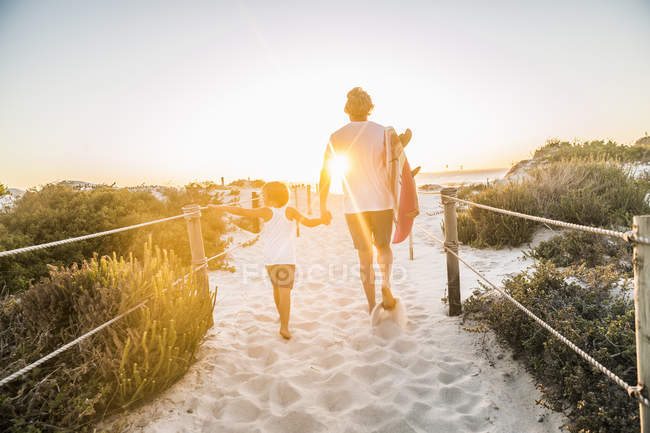 Вид сзади отца и сына на пляже, держащихся за руки и несущих доску для серфинга — стоковое фото