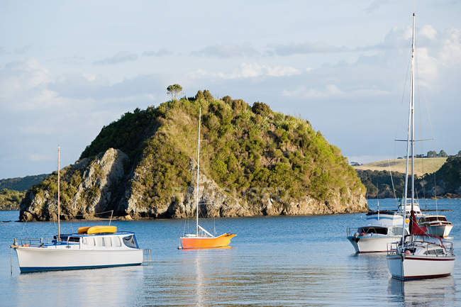 Bahía de las Islas, yates en las bahías cerca de Kerikeri, Nueva Zelanda - foto de stock