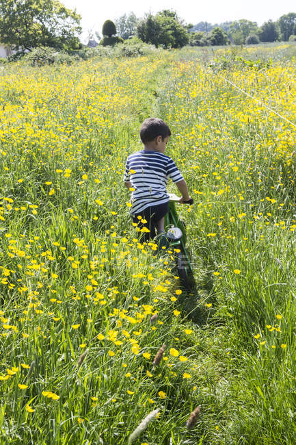 Rückansicht des Jungen Radfahren im Feld der Butterblumen — Stockfoto