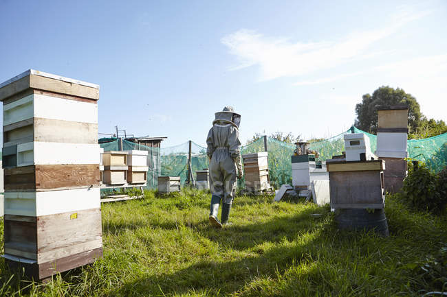 Women beekeepers working on city allotment — Stock Photo