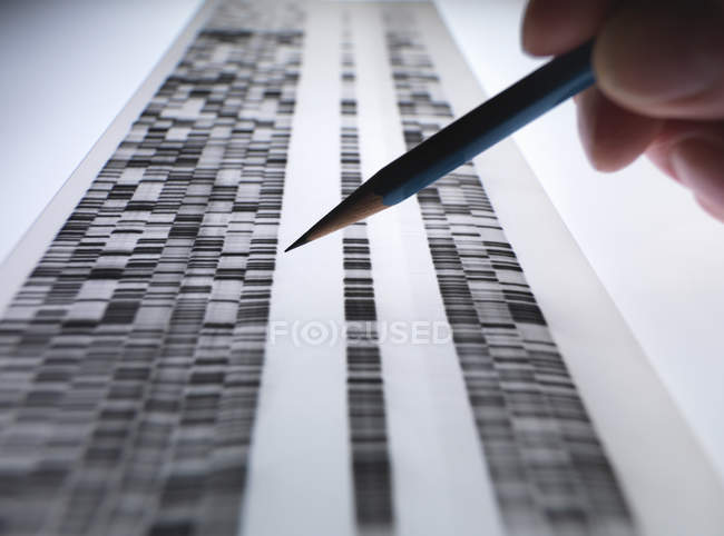 Científico que ve gel de ADN utilizado en genética, forense, investigación farmacéutica, biotecnología y ciencia biomédica - foto de stock