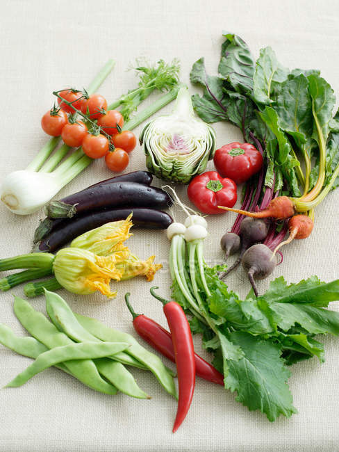 Selection of fresh vegetables — Stock Photo