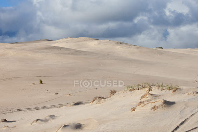 Scenic view of sand dunes under cloudy sky — Stock Photo
