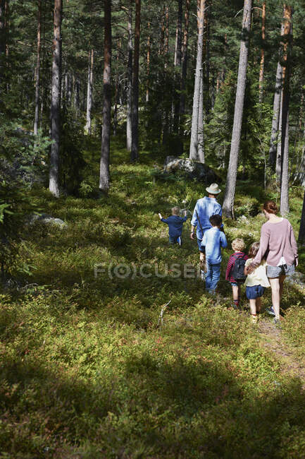 Familia caminando por el bosque - foto de stock