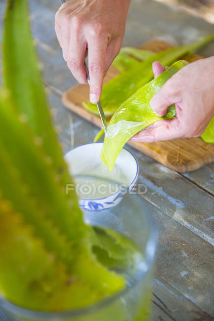 Femmina mano raschiando liquido da foglia di aloe in laboratorio sapone fatto a mano — Foto stock