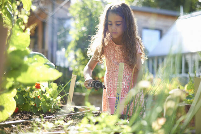 Ragazza scavare alzato pianta letto in giardino — Foto stock