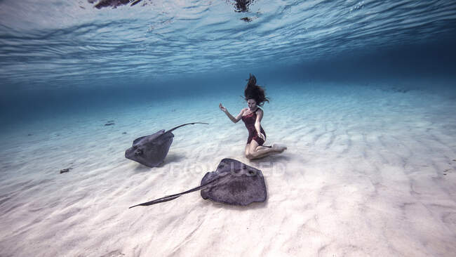 Водолаз женского пола, стоящий на коленях у скатов на дне моря — стоковое фото