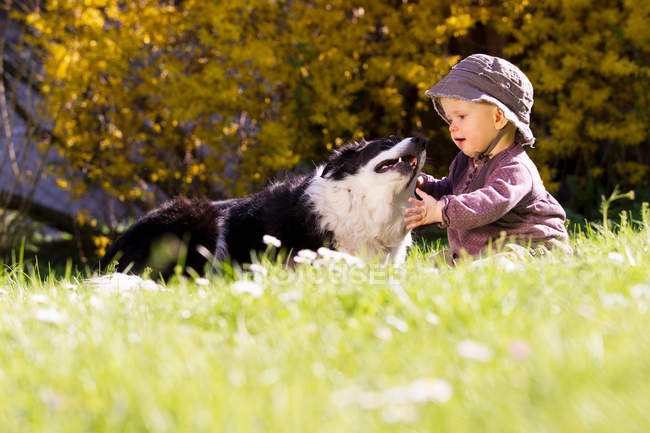 Дитяча дівчинка грає з собакою в траві — стокове фото