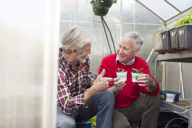 Amis masculins seniors dans des plantes de serre — Photo de stock