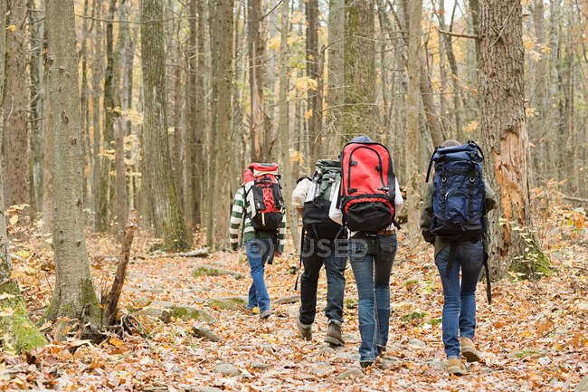 Young people hiking through forest — Stock Photo