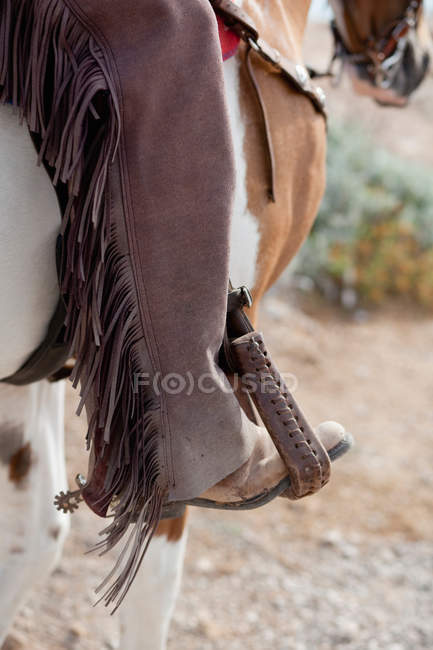 Обрезанный образ человека, сидящего на лошади на открытом воздухе — стоковое фото