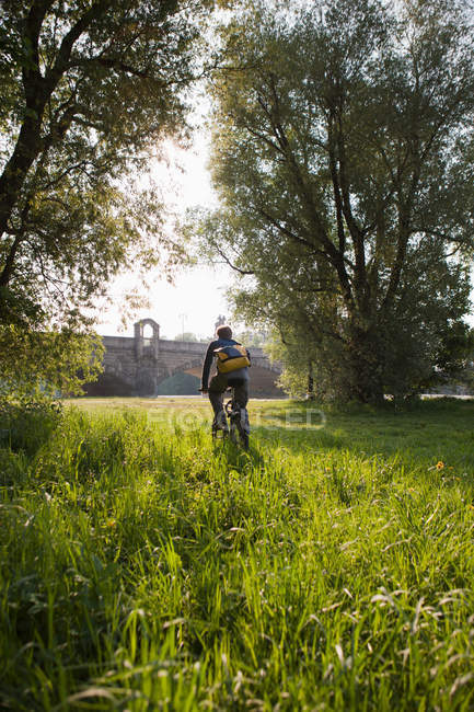 Чоловік їде на велосипеді в полі — стокове фото