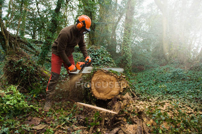 Хирург-мужчина распиливает ствол дерева бензопилой в лесу — стоковое фото