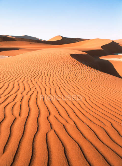 Kräuselte Sanddünen der namib Wüste unter blauem Himmel — Stockfoto