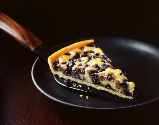 Slice of blueberry tart with cake server on plate — Stock Photo