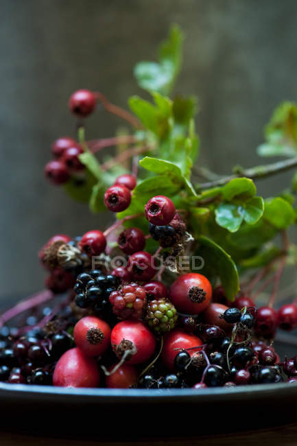 Plate of mixed wild berries — Stock Photo