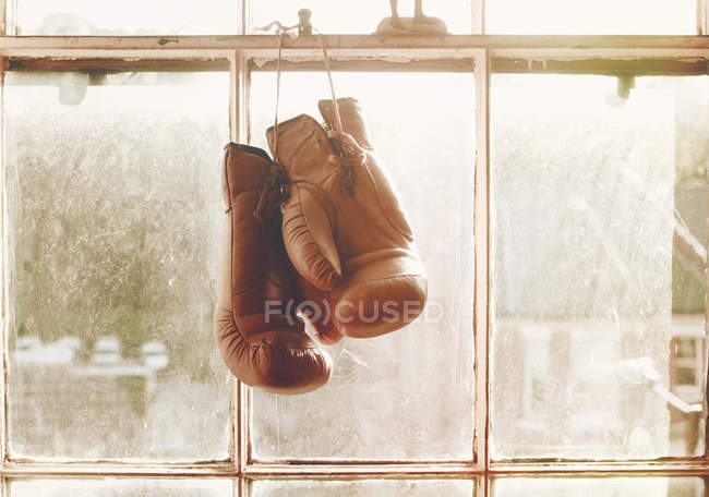 Boxing gloves hanging on window — Stock Photo