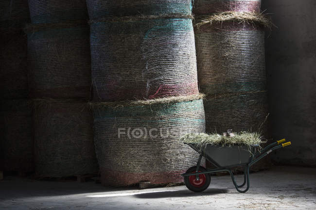 Wheelbarrow and haystacks in farm barn — Stock Photo
