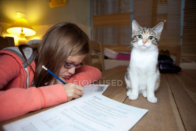 Ragazza che studia con gatto sul tavolo — Foto stock