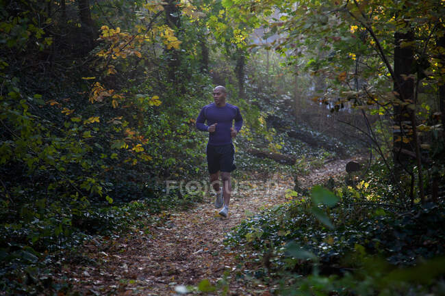 Runner on forest trail — Stock Photo