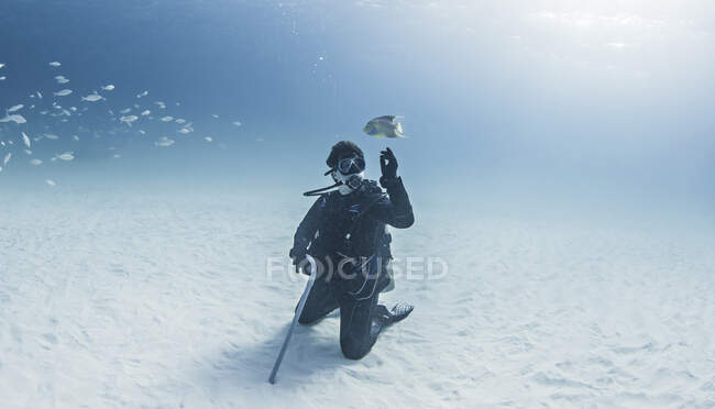 Портрет аквалангиста, вид под водой — стоковое фото