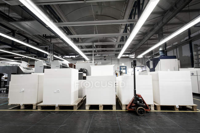 Pallets of paper in printing warehouse — Stock Photo