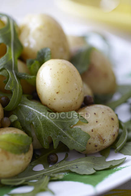 New potatoes and salad — Stock Photo
