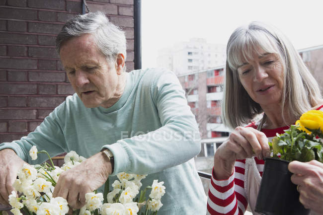 Couple jardinage sur balcon — Photo de stock