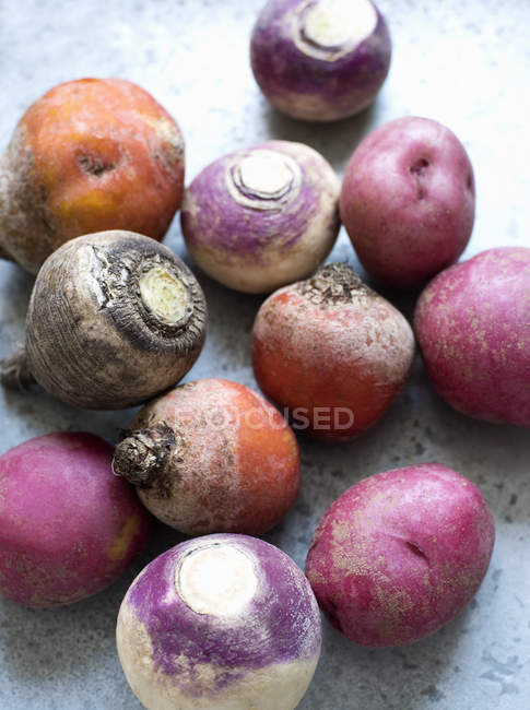 Top view of autumn root vegetables — Stock Photo