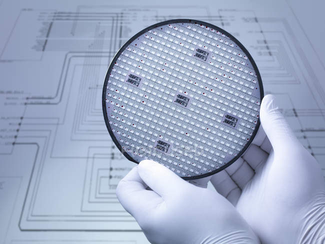 Gloved hands holding silicon wafer in laboratory, close up — Stock Photo