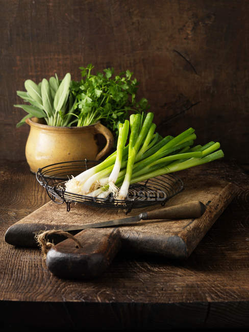 Cebollas verdes y hierbas - foto de stock