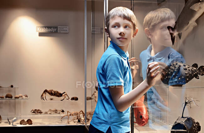 Мальчик любуется рыбными моделями за стеклом — стоковое фото