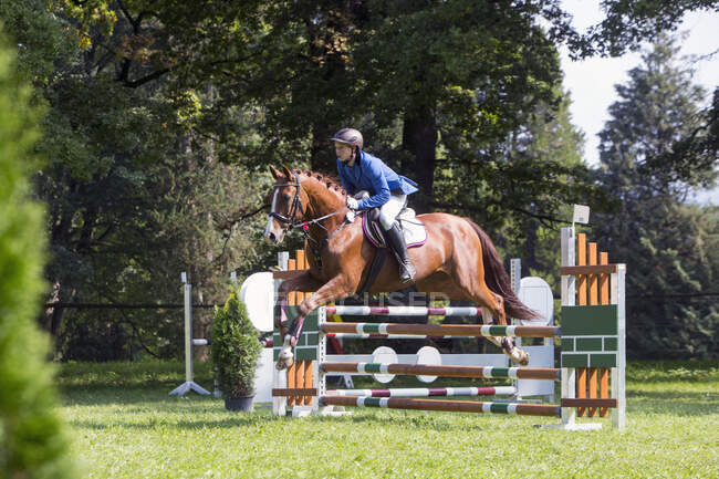 Horse and rider show jumping — Stock Photo