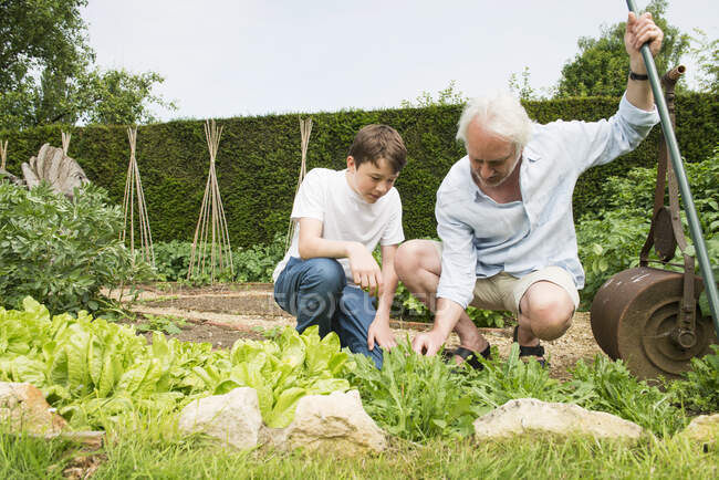 Großvater und Enkel bei der Gartenarbeit — Stockfoto