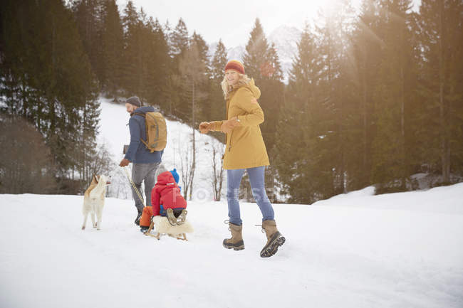 Visão traseira dos pais puxando filhos em tobogã na paisagem coberta de neve, Elmau, Baviera, Alemanha — Fotografia de Stock