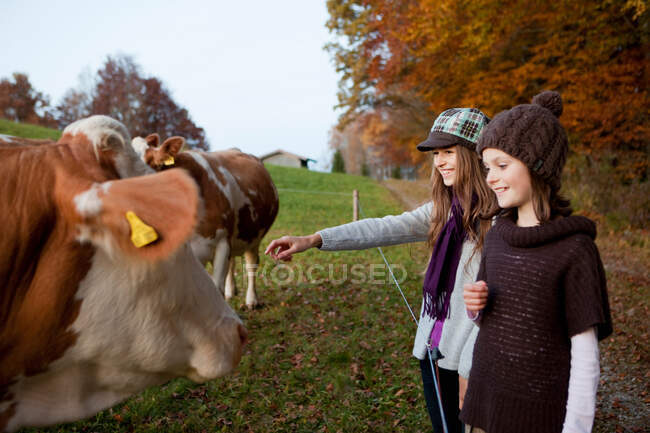 Dos chicas en un pasto con vacas - foto de stock
