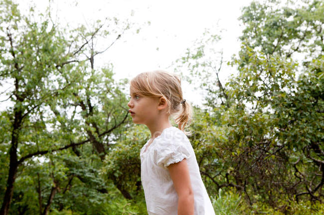 Little girl amongst trees — Stock Photo